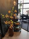 thumbnail_IMG_8822
