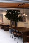 PIPPI STUDIO - HORNBACH HK