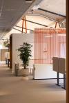 PIPPI STUDIO - HORNBACH HK